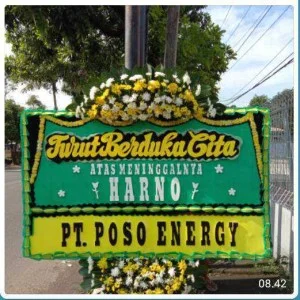 CDE - BP 021 - Bunga Papan