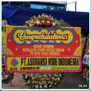CDE - BP 033 - Bunga Papan