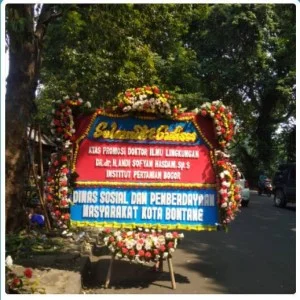 BPB - Bunga Papan 075