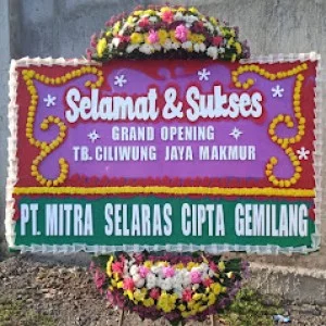 Bunga Papan Bogor 94