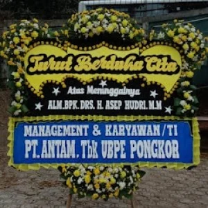 Bunga Papan Bogor 119