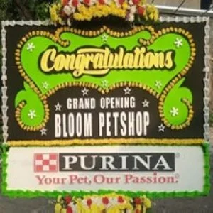 Bunga Papan Bogor 29