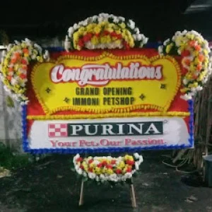 Bunga Papan Bogor 02